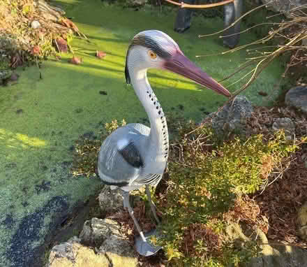 Photo of Plastic garden decoy heron (Twyford RG10) #1