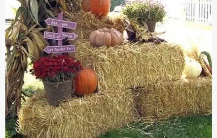 Photo of Hay Bales After Halloween (Danforth and Greenwood) #1
