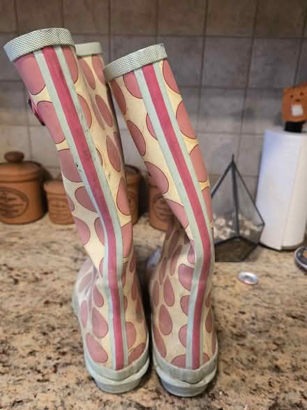 Photo of free Joules wellies women's size 6 (Lydgate OL4) #2