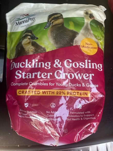 Photo of free Duckling & Gosling feed (Westchester nr LMU) #1