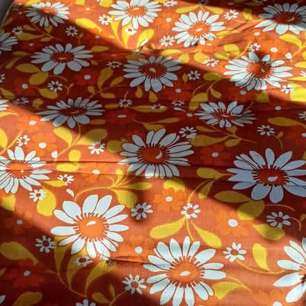 Photo of free Z bed, single size (Old Town TN40) #3