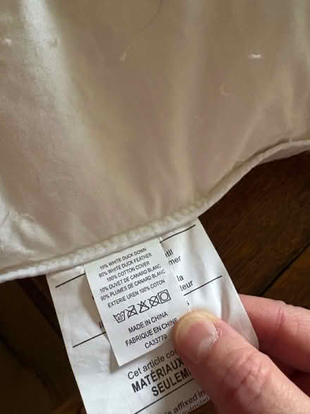 Photo of free Queen size down pillow (Civic Hospital near Hintonburg) #1