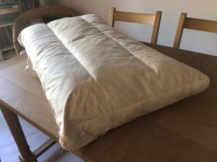 Photo of free Feathers - two large cushions (Christchurch Town Centre) #1