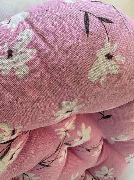 Photo of free Pink floral seat cushion (Morrell Avenue OX4) #4