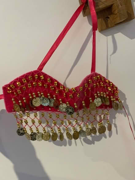 Photo of free Child sized belly dancing outfit (City Centre NR3) #3