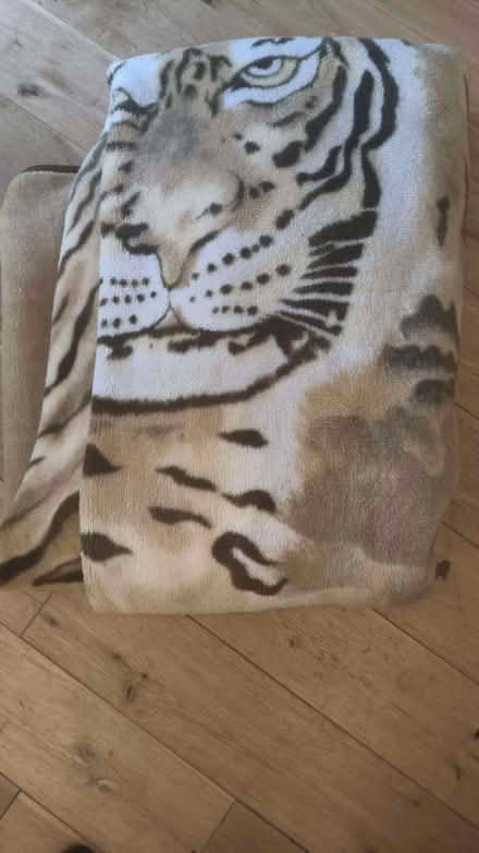 Photo of free Giant fluffy tiger blanket v warm SE25 (South Norwood SE25) #1