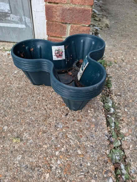 Photo of free Strawberry planters (Headcorn TN27) #1