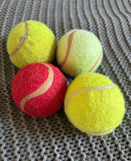 Photo of free Old tennis balls (Ware SG12) #1