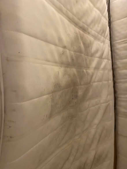 Photo of free 2 twin mattresses (stained) (Cabbagetown) #3