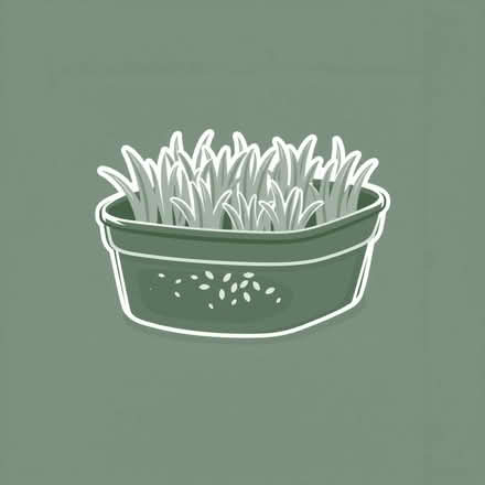 Photo of free Trays for growing wheatgrass plus wheatgrass seeds (Newton LA1) #1