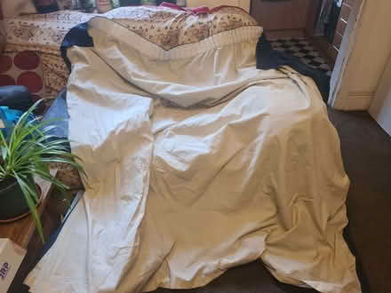 Photo of free Single Blue Patterned Curtain (Greystones S11) #4