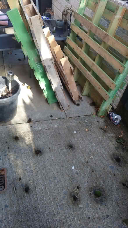 Photo of free Wooden pallets (Dursley GL11) #1