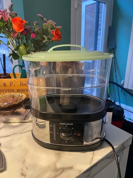 Photo of free Morphy Richard Electric Steamer (SE153BS) #1