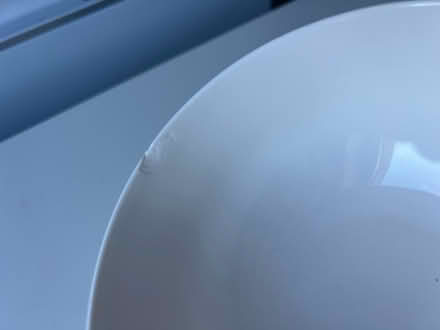 Photo of free Fine China Cereal Bowl (Edinburgh EH8 Roxburgh St.) #3