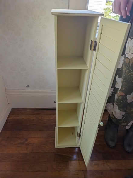 Photo of free Narrow white cabinet (Ball Sq Somerville) #2