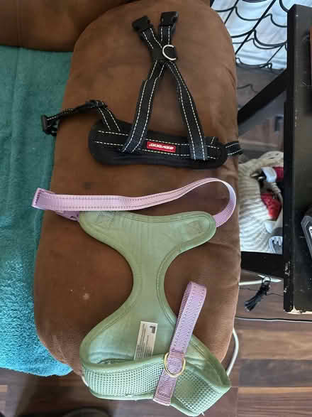 Photo of free Small dog 🐕 harnesses x 2 (Hanworth TW13) #1