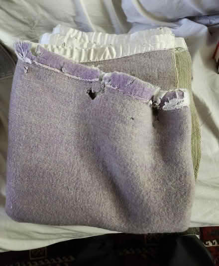 Photo of free Wool blanket (Wellington Village) #1
