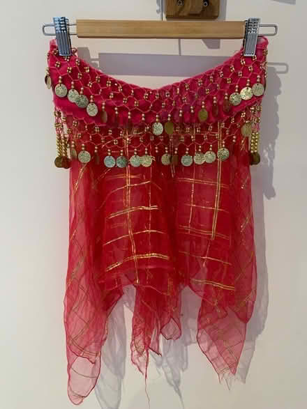 Photo of free Child sized belly dancing outfit (City Centre NR3) #1