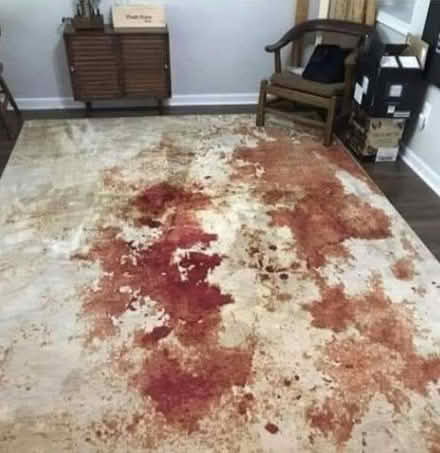 Photo of free Large rug (Seal TN15) #1