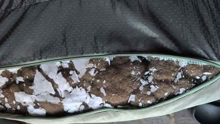 Photo of free Dog bed (Calverton MK19) #3