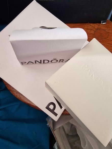 Photo of free Pandora Boxes and Bags (empty) (Linden GL1) #1