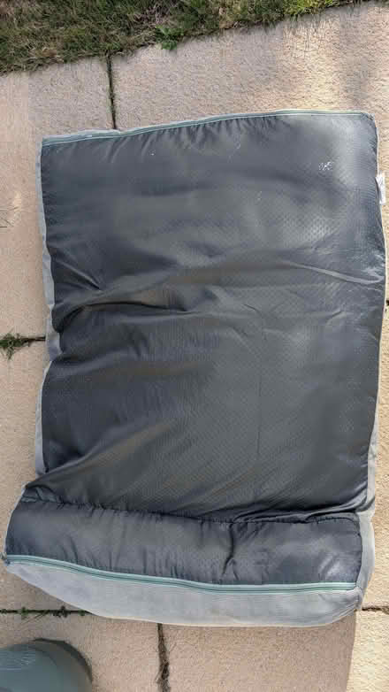 Photo of free Dog bed (Calverton MK19) #2