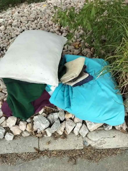 Photo of free Comforter pillows (North Campus) #1