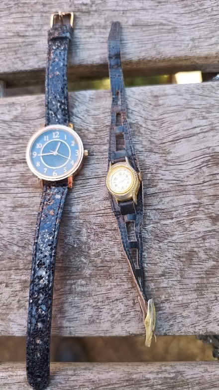 Photo of free Two Watches (The Nurserylands TW12) #1