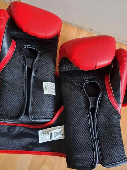 Photo of free Boxing gloves (Seaside BN22) #3