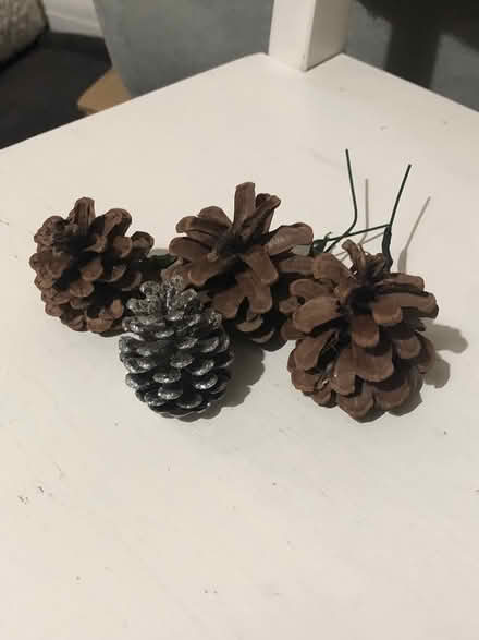 Photo of free Pine cones (Neasden NW10 near McDonald) #1
