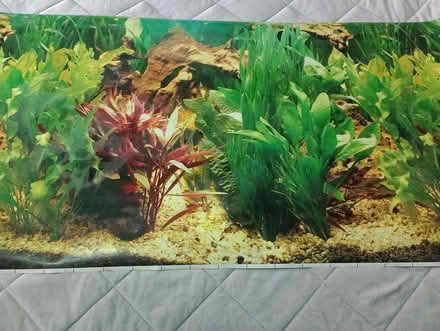 Photo of free Aquarium / vivarium background's (Greenland's Redditch B98.) #2