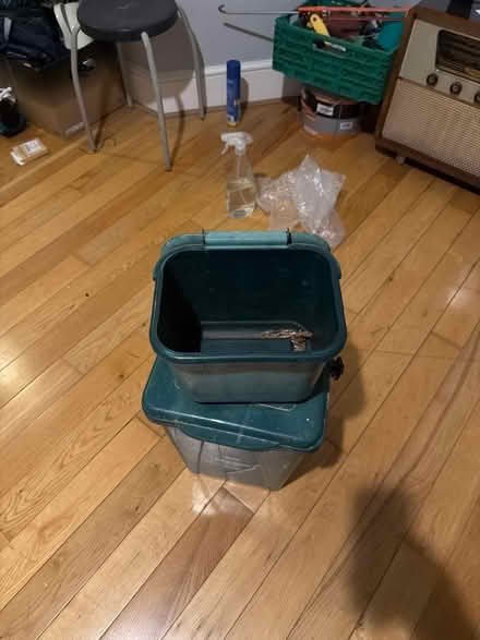 Photo of free Plastic food waste bins (Upton E15) #2