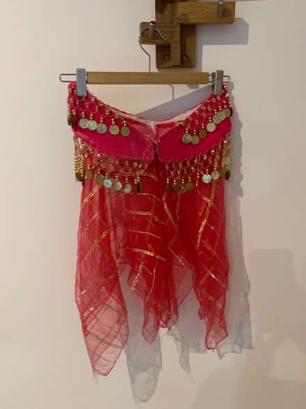 Photo of free Child sized belly dancing outfit (City Centre NR3) #2