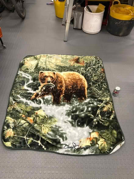 Photo of free Blanket - bear (Penrith CA11) #1