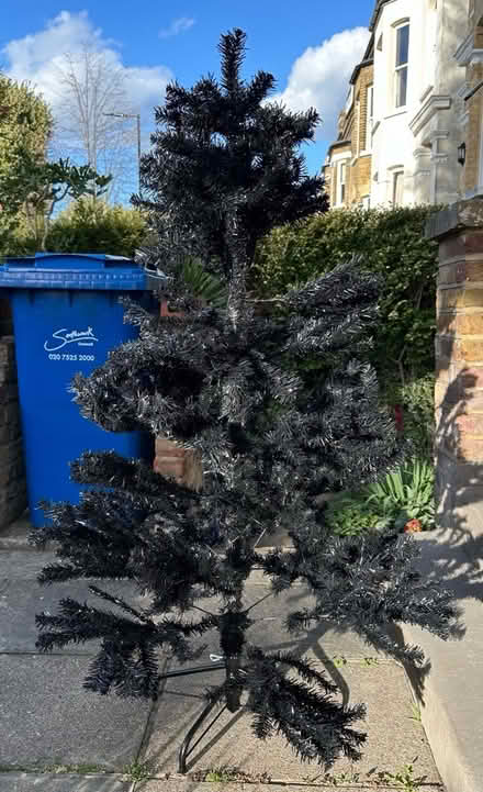 Photo of free Xmas trees (East Dulwich, SE22) #1
