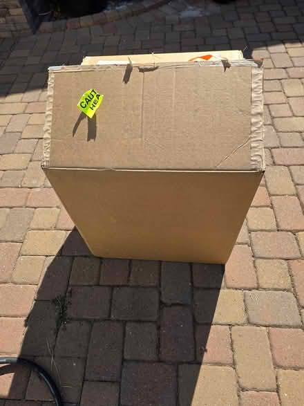 Photo of free Styrofoam packing peanuts (Newark) #1