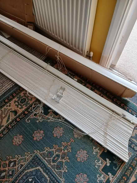 Photo of free Venetian Blind (Langney BN23) #1