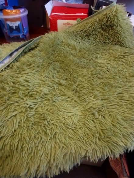Photo of free Green fluffy rug large (Ashhill walk Bd47jf) #2
