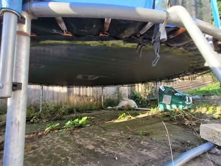 Photo of free Trampoline (Skerton LA1) #4