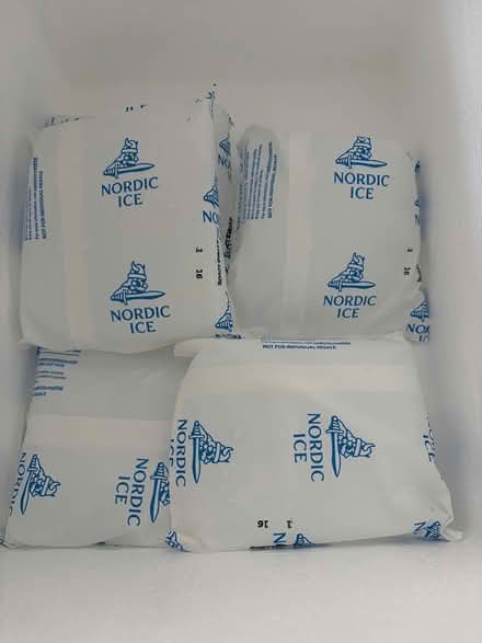Photo of free Styrofoam Cooler and Ice packs (Rockville) #2