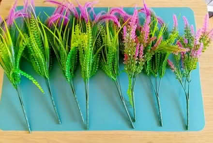 Photo of free 8 artificial lavender flower stems (Stirling FK8) #1
