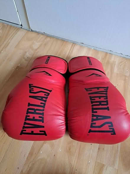 Photo of free Boxing gloves (Seaside BN22) #1