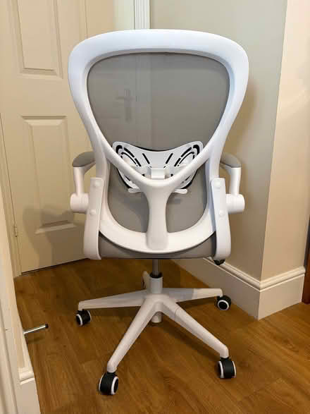 Photo of free Office chair (Springfield CM1) #2