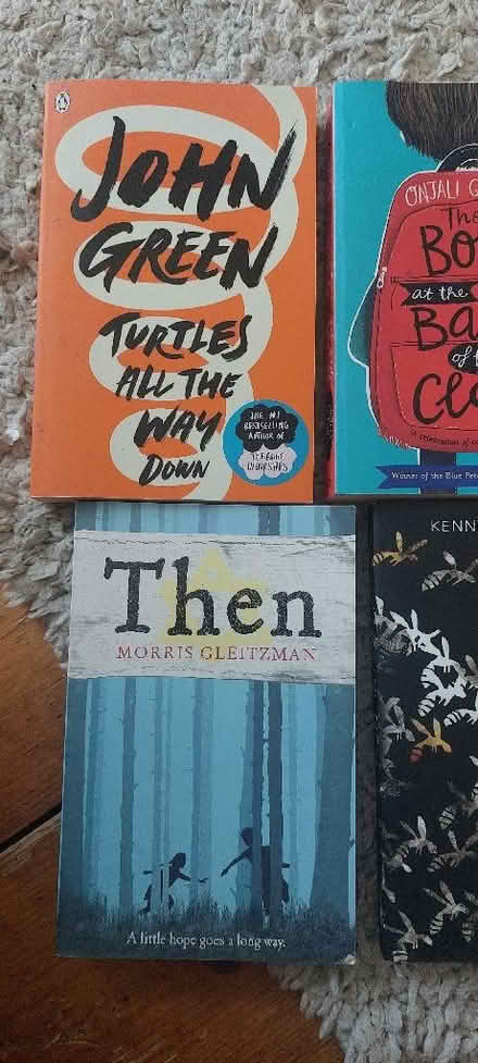 Photo of free Tweens books (Lower Weston BA1) #2