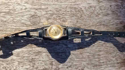 Photo of free Two Watches (The Nurserylands TW12) #2