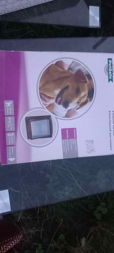 Photo of free Petsafe dog flap (Plumstead Common SE18) #1