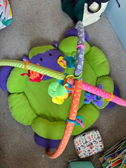 Photo of free Baby play mat (Plaistow E13) #1
