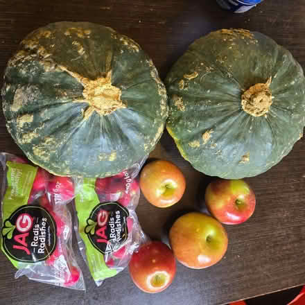 Photo of free Food in the NE Bronx (Northeast Bronx) #4