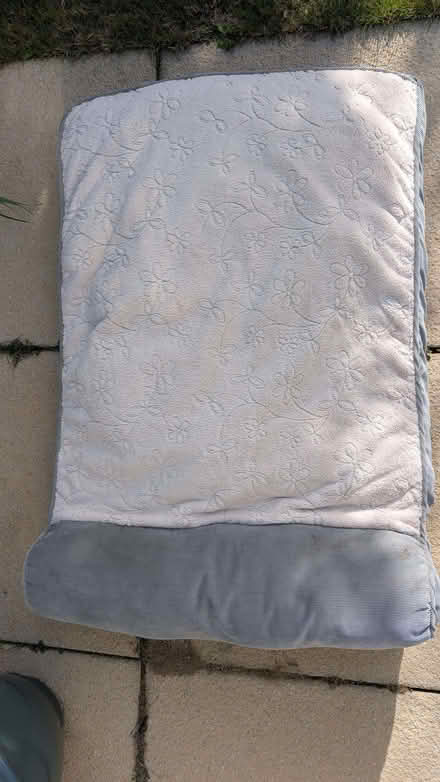 Photo of free Dog bed (Calverton MK19) #1