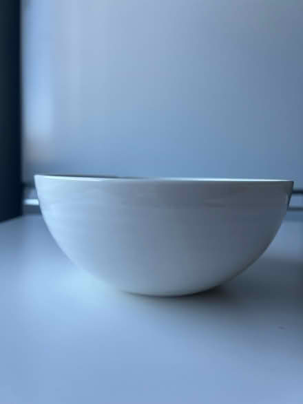 Photo of free Fine China Cereal Bowl (Edinburgh EH8 Roxburgh St.) #1